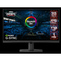 MSI MAG321QR-QD 31.5" 170Hz WQHD Quantum Dot IPS Gaming Monitor